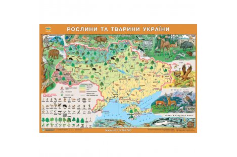 Карта Растения и животные Украины 65*45см картонная с планками
