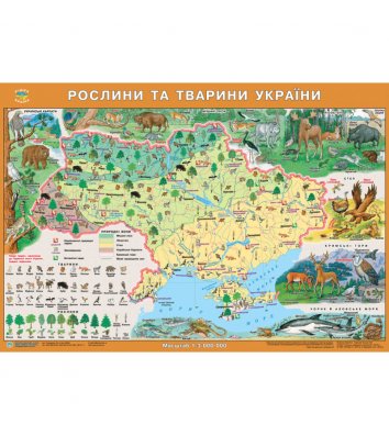 Карта Рослини та тварини України 65*45см картонна