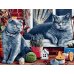 Живопись по номерам "Британские коты" 50*60см в коробке, ArtStory