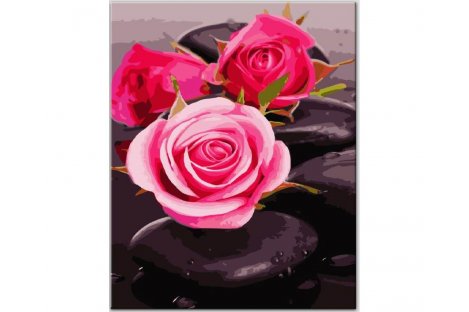 Живопис за номерами "Троянди на каміннях" 40*50см в коробці, ArtStory