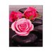 Живопис за номерами "Троянди на каміннях" 40*50см в коробці, ArtStory