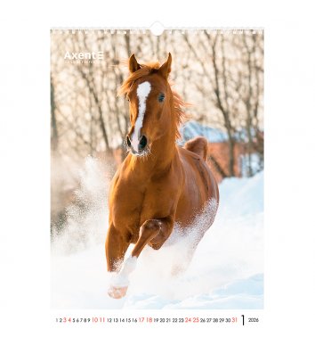 Календар A3 настінний на 2026 р "Horses", Axent