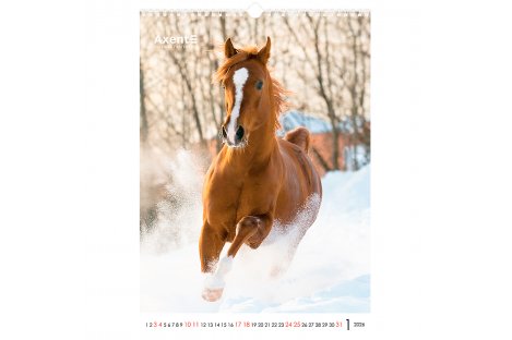 Календар A3 настінний на 2026 р "Horses", Axent Календар A3 настінний на 2026 р "Horses", Axent