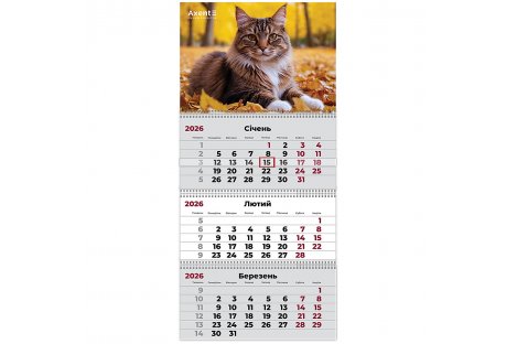 Календар настінний квартальний на 2026 р (3 пружини) "Cats 2", Axent