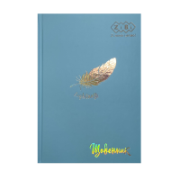 Щоденник шкільний B5 40арк тверда обкладинка Легкість, Zibi