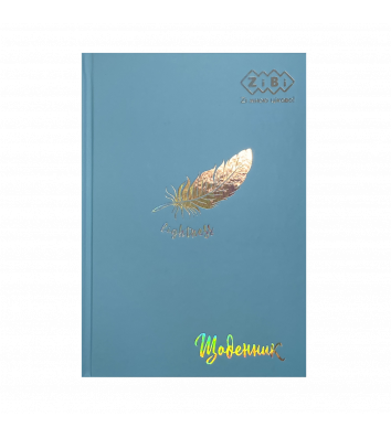 Щоденник шкільний B5 40арк тверда обкладинка Легкість, Zibi