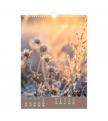 Календар A3 настінний на 2026 р "Wild flowers", Buromax