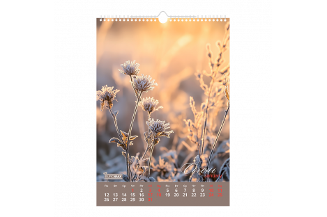 Календар A3 настінний на 2026 р "Wild flowers", Buromax Календар A3 настінний на 2026 р "Wild flowers", Buromax