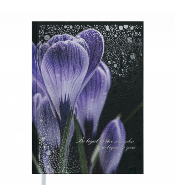 Щоденник недатований A5 Posh фіолетовий, Buromax