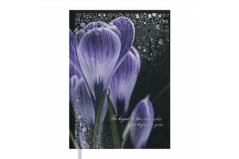Щоденник недатований A5 Posh фіолетовий, Buromax