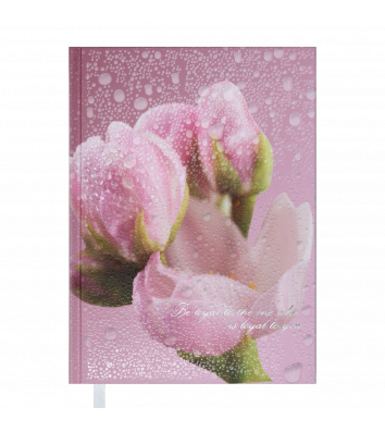 Щоденник недатований A5 Posh рожевий, Buromax