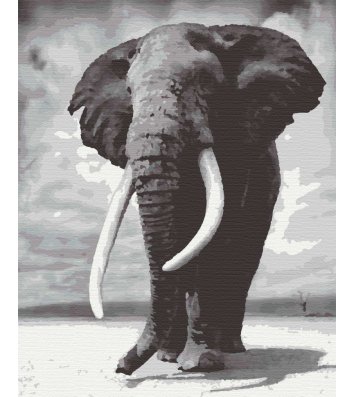 Картина по номерам "Слон" 40*50см, Riverа Blanca