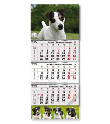 Календарь настенный квартальный на 2022г (3 пружины) "Пес"