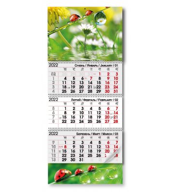 Календарь настенный квартальный на 2022г (3 пружины) "Роса"